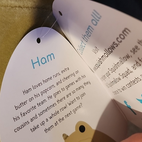 NWT 12" Squishmallow Crocodile Ham Alligator - Picture 3 of 4